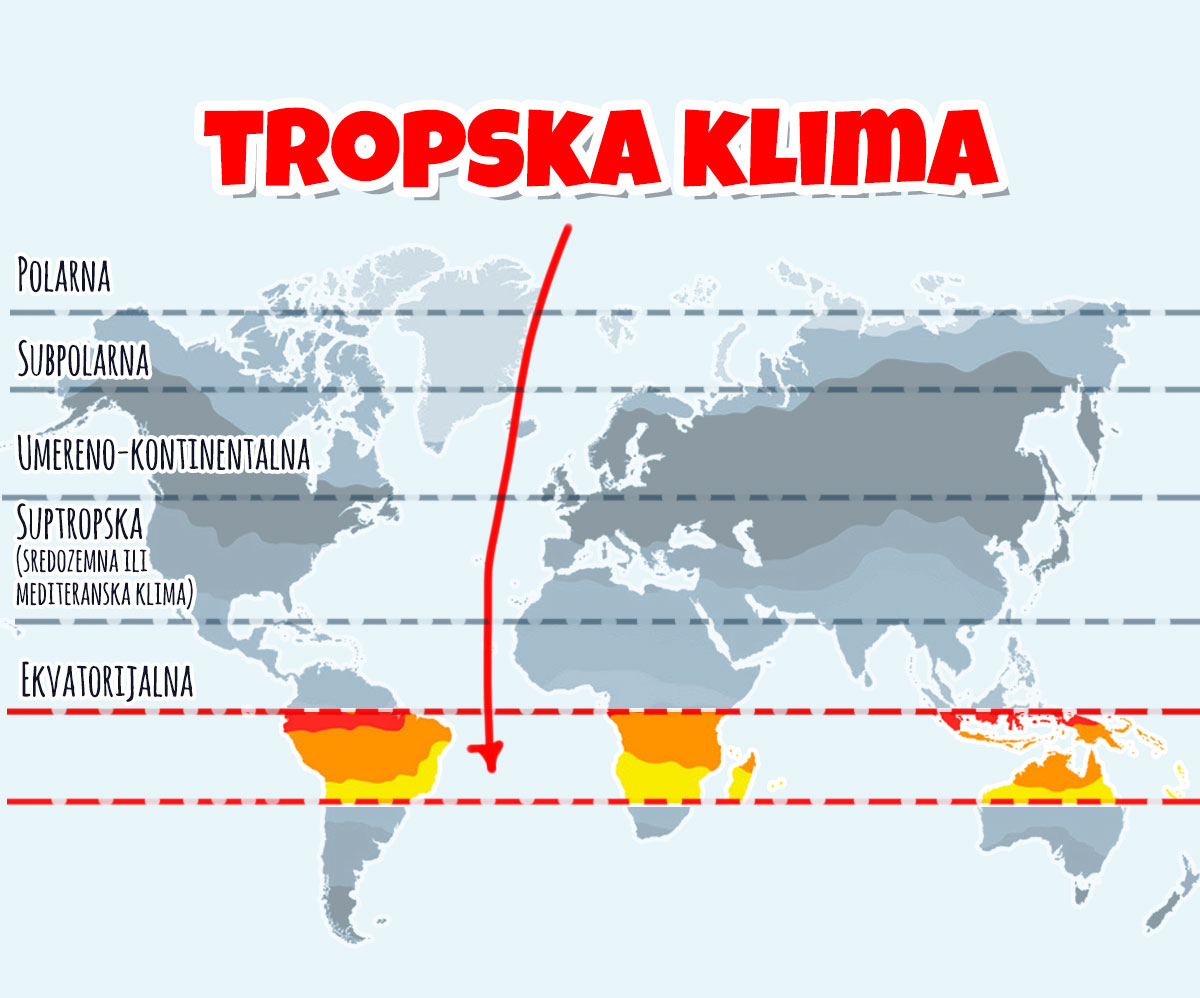 Klimatski činioci Osnovni Tipovi Klime Shtreber